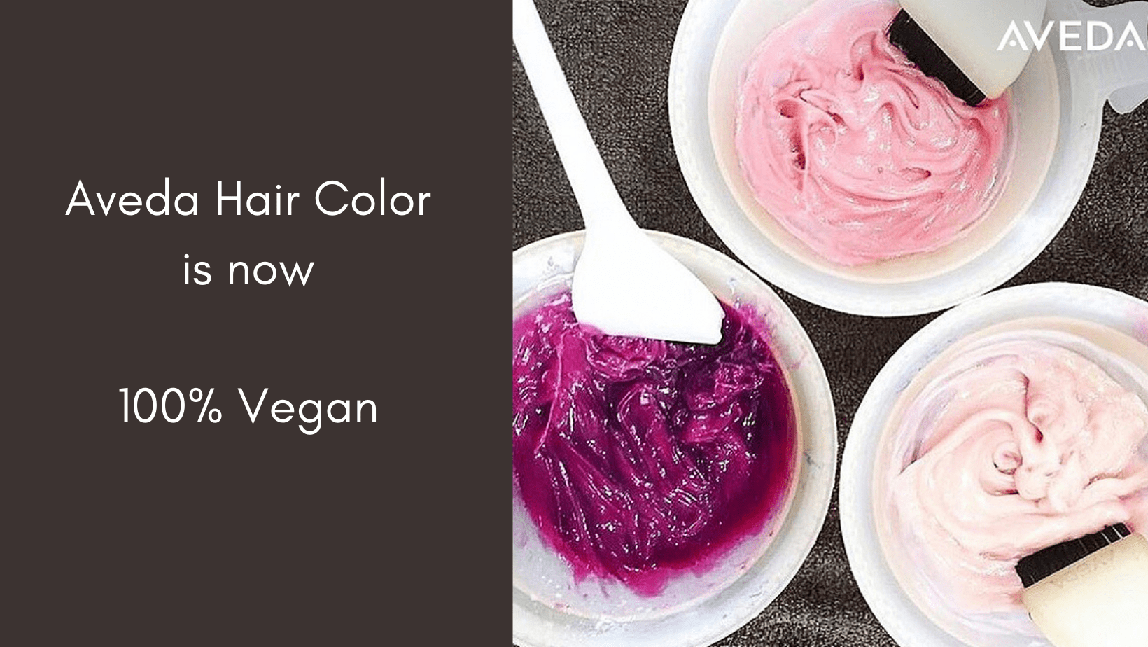 Studio 59 Aveda Salon & Spa Chattanooga, Tennessee